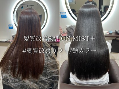 ミストプラス(MIST+)の写真