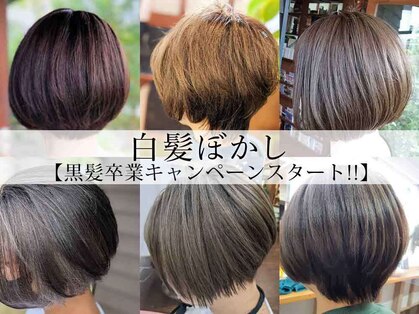 ナンバーエイト(number eight)の写真