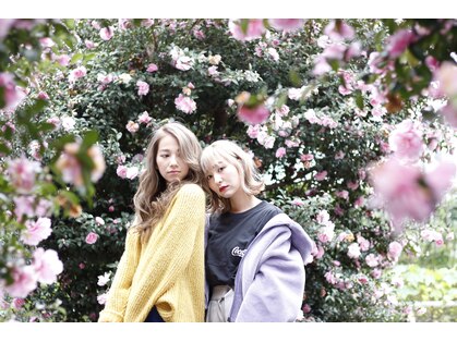 コットン75%(COTTON75%)の写真