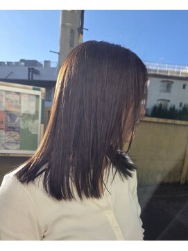 ナチュラルベージュ/ショコラベージュ/アディクシーカラー