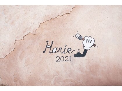 ララ(LaLa)の写真