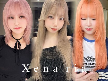 ジーナリア(Xena ria)の写真