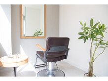 グラスヘアリオン(Grous hair lion)