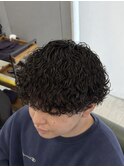 波巻きプードル