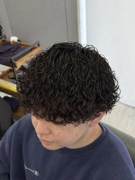 ヘアーアンドビューティー ザ ビー(Hair & Beauty the B) 波巻きプードル