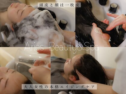 アリエス(Aries)の写真