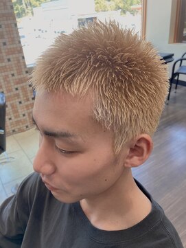 ヴァンカウンシル Kuwana(VAN COUNCIL) スパイキーボウズ