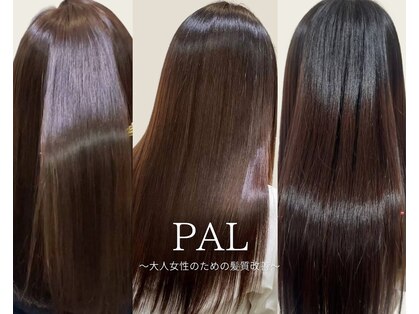 パル(PaL)の写真
