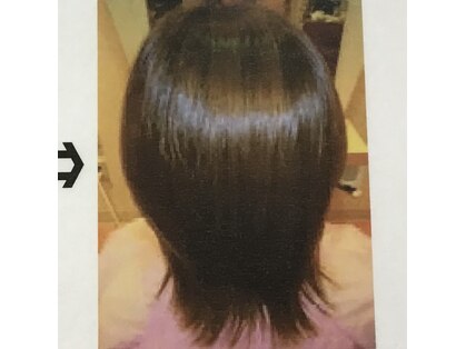トップレディ(TOP LADY)の写真