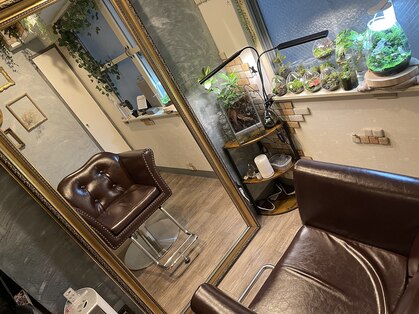 ルル(LuLu)の写真