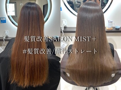 ミストプラス(MIST+)の写真