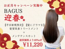 バグース 平塚(BAGUS)
