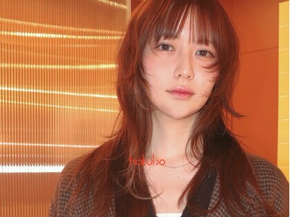 ハクボ(hakubo)の写真