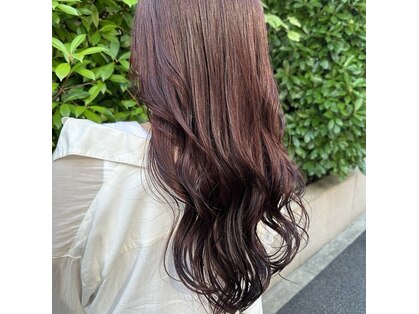 リリ(Re:Re:)の写真