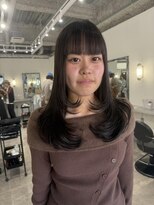 ホリー(HOLLY)&nbsp;レイヤーカット