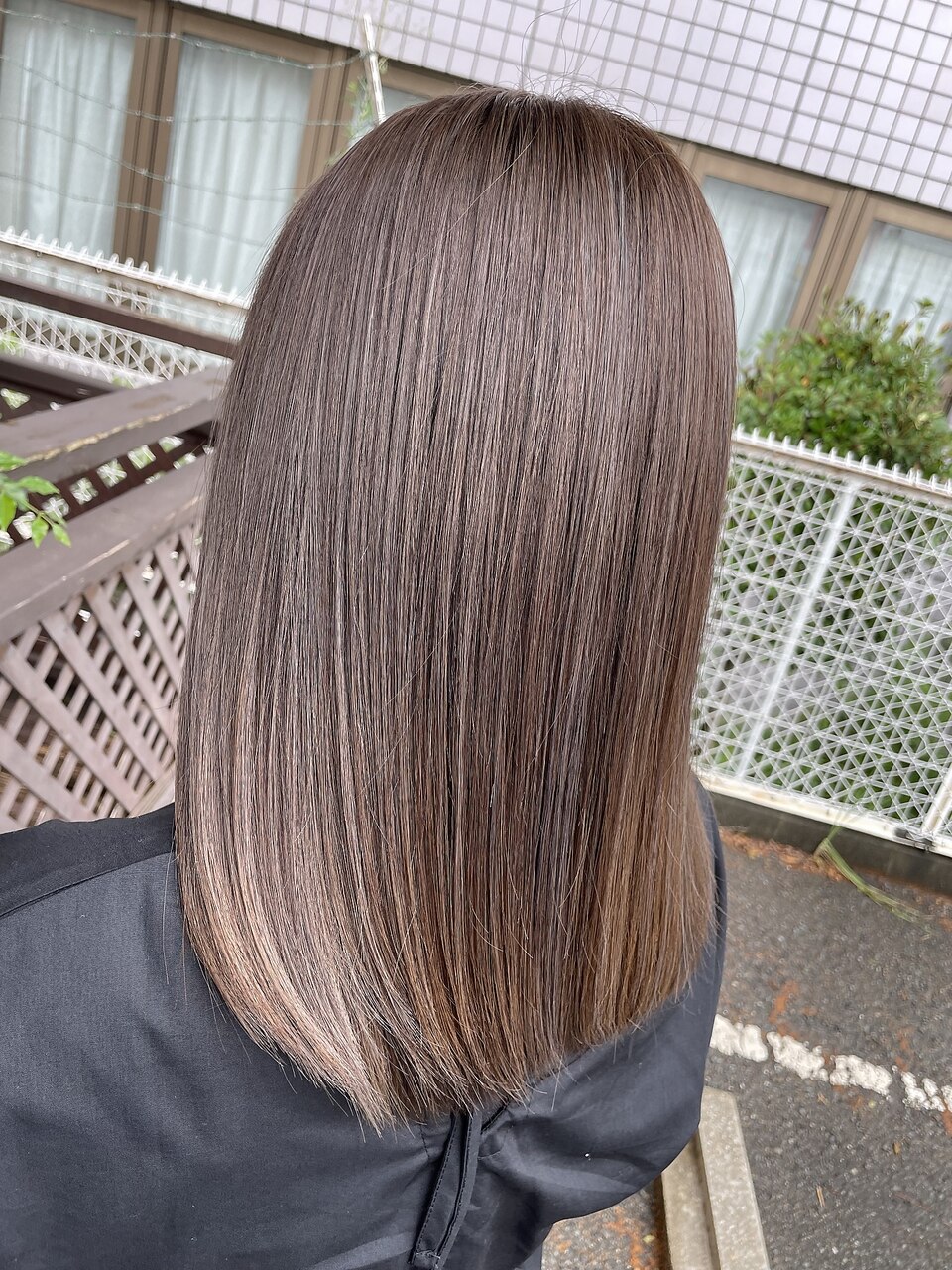 エドルカラー40本