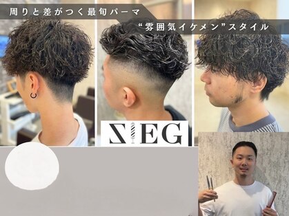 ジーク(SIEG)の写真