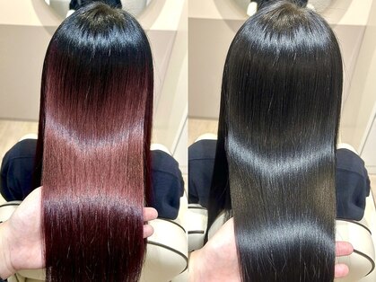 トライアンフ(TriumpH)の写真