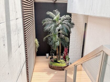 イヴ 新浦安店(Eve)の写真