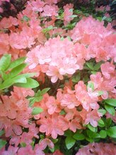 ハスカラー 雑餉隈店 佐藤 貴子