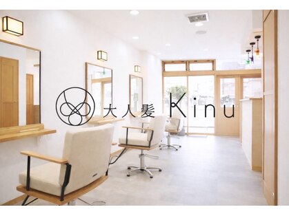 キヌ(Kinu)の写真