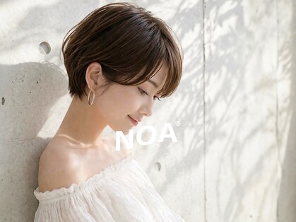 ノア(NOA)の写真