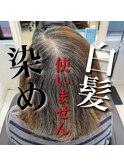 白髪染めぼかしファイバープレックスハイライト