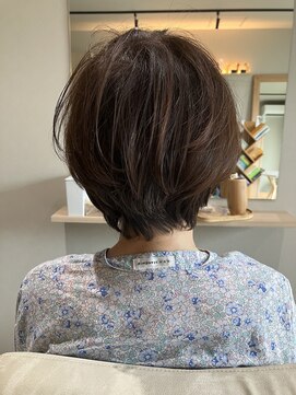 本と南風 guest design