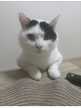 ザ ヘア ディードットログ(The hair D.Log)&nbsp;うちの愛猫ちーちゃん♂です
