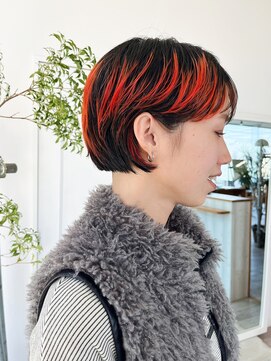 パーム スプリングス(Palm Springs) Hair by Palm Springs 1113