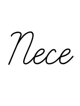 ネセ(Nece)の写真/◇3月NEW OPEN◇東京表参道のブランドサロン出身スタイリストがオーナーを勤めるデザイナーズサロン◎