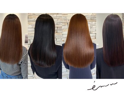 エミュ(emu)の写真