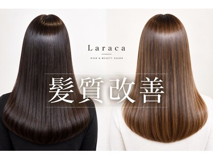 ララカ(Laraca)の写真