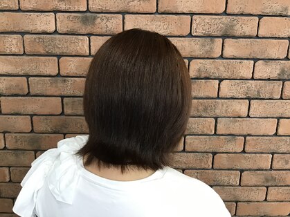 トップレディ(TOP LADY)の写真