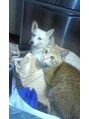 アッシュ 志木南口店(Ash)&nbsp;犬と猫が好きです