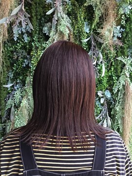 ノーブルヘアー(NOBLE HAIR) レッドブラウン