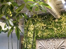 バグスドゥア(Bagus dua)の雰囲気（＜グリーンが癒す空間＞１席ずつ間隔広めの内観。無料駐車場完備）