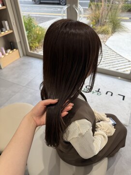 アンドルトワ(and Lutowa) ダークチョコレートブラウン