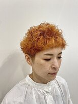 ノヴェル 富沢店(NOVEL)&nbsp;アプリコットカール