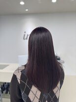 サンズ アイニー(SUNS ini)&nbsp;ボルドーブラウン/フェイスレイヤー