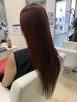 ビリーブ 赤羽店(Believe) ワインレッド