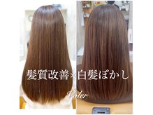 ヴォレ(Voler)