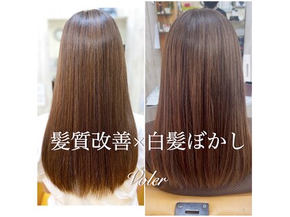 ヴォレ(Voler)の写真