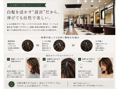 アート(a-to)の写真