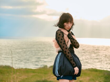 シカ(sica)の写真