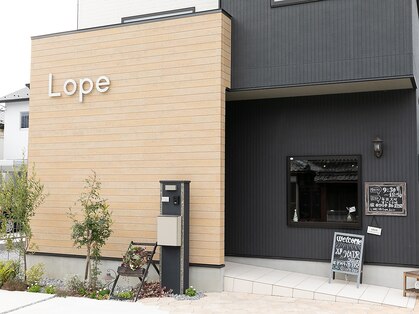 ロペ(Lope)の写真