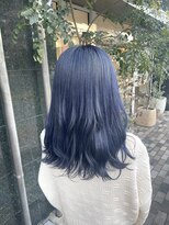 シュガー(Sugar) ネイビーブルー/ダブルカラー/ハイトーン