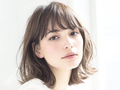 フリージア(freesia)の写真