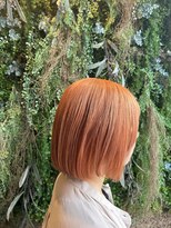 ノーブルヘアー(NOBLE HAIR) Orange