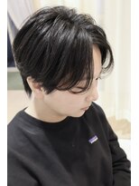 シザーズトリックス ノーブル(scissorstrix Noble)&nbsp;ハンサムショート